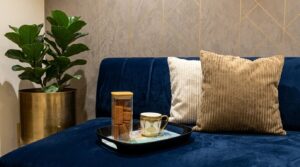 crownvere cushion cover